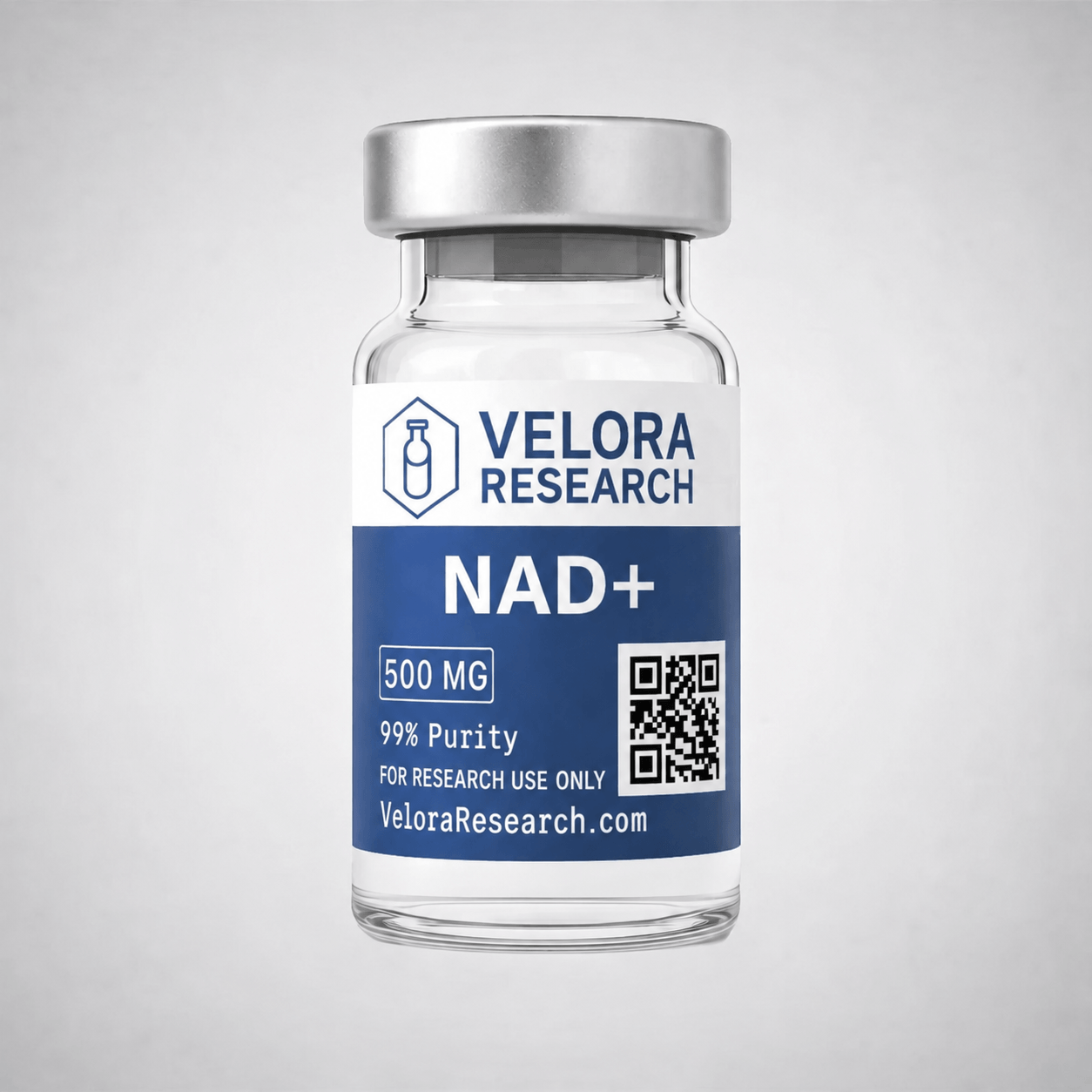 nad+-main