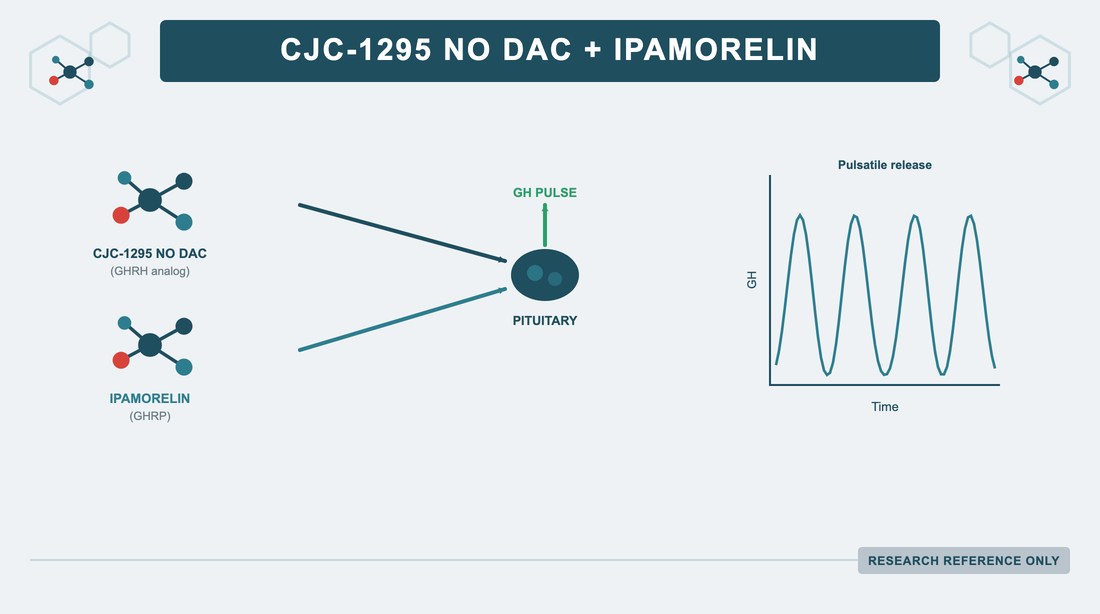 CJC-1295 No DAC + Ipamorelin: Co-Administration Mechanism and Research Reference
