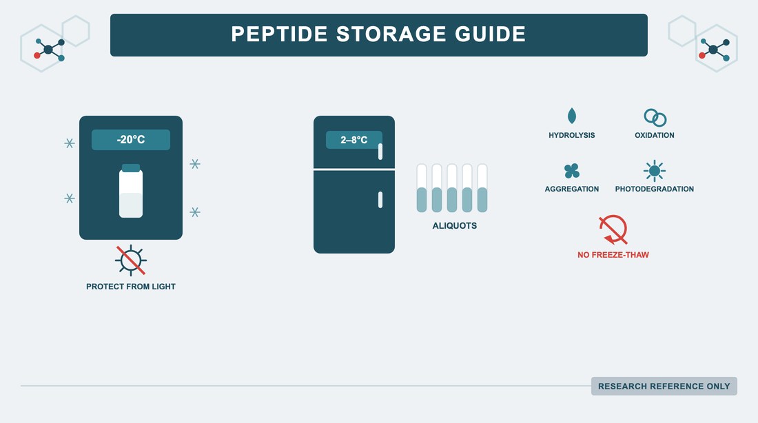Peptide Storage Guide Temperature, Light, and Stability for Research Compounds