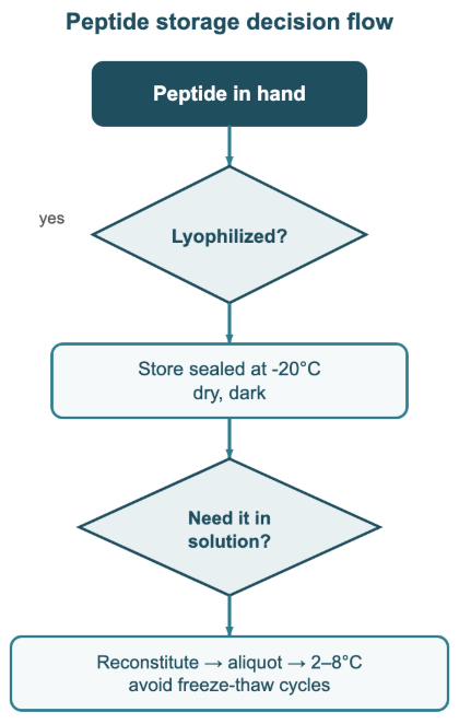 peptide-storage-decision
