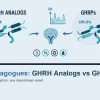 Growth-Hormone Secretagogues: GHRH Analogs vs GHRPs, Explained