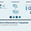 KPV: A Research Reference on the Anti-Inflammatory Tripeptide