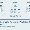 Lyophilization: Why Research Peptides Are Freeze-Dried