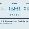 Melanotan 2: A Research Reference on the Melanocortin Peptide